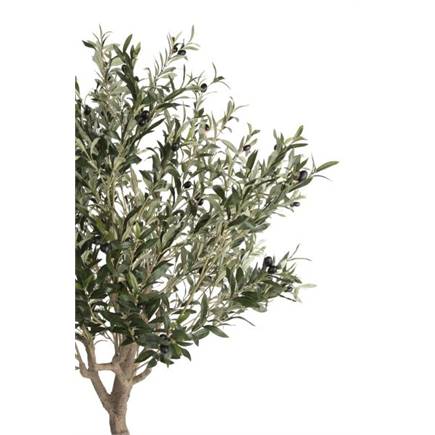 Coco Maison Olive Tree H150cm kunstplant